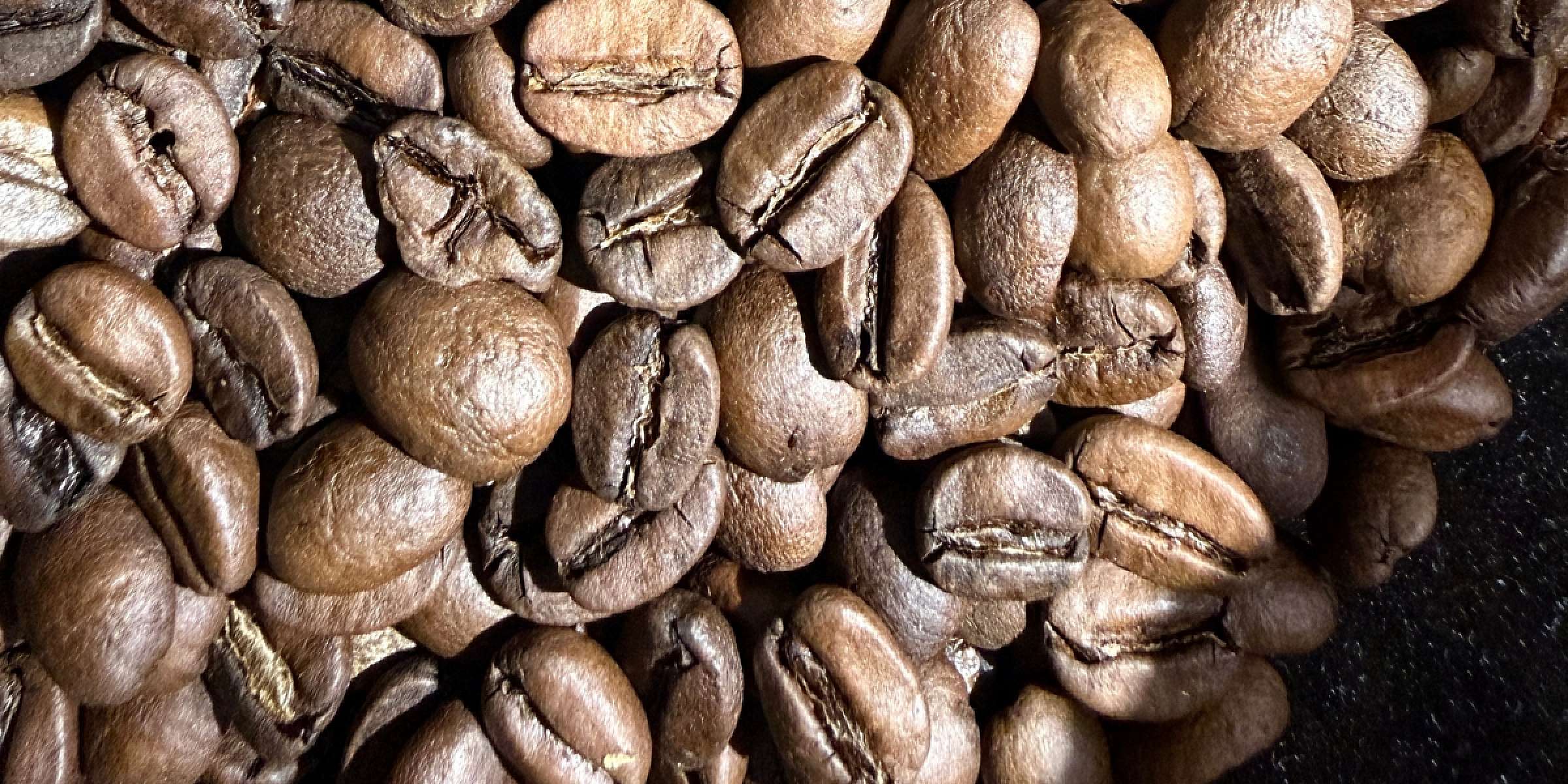  - Grand Casino Brussels VIAGE