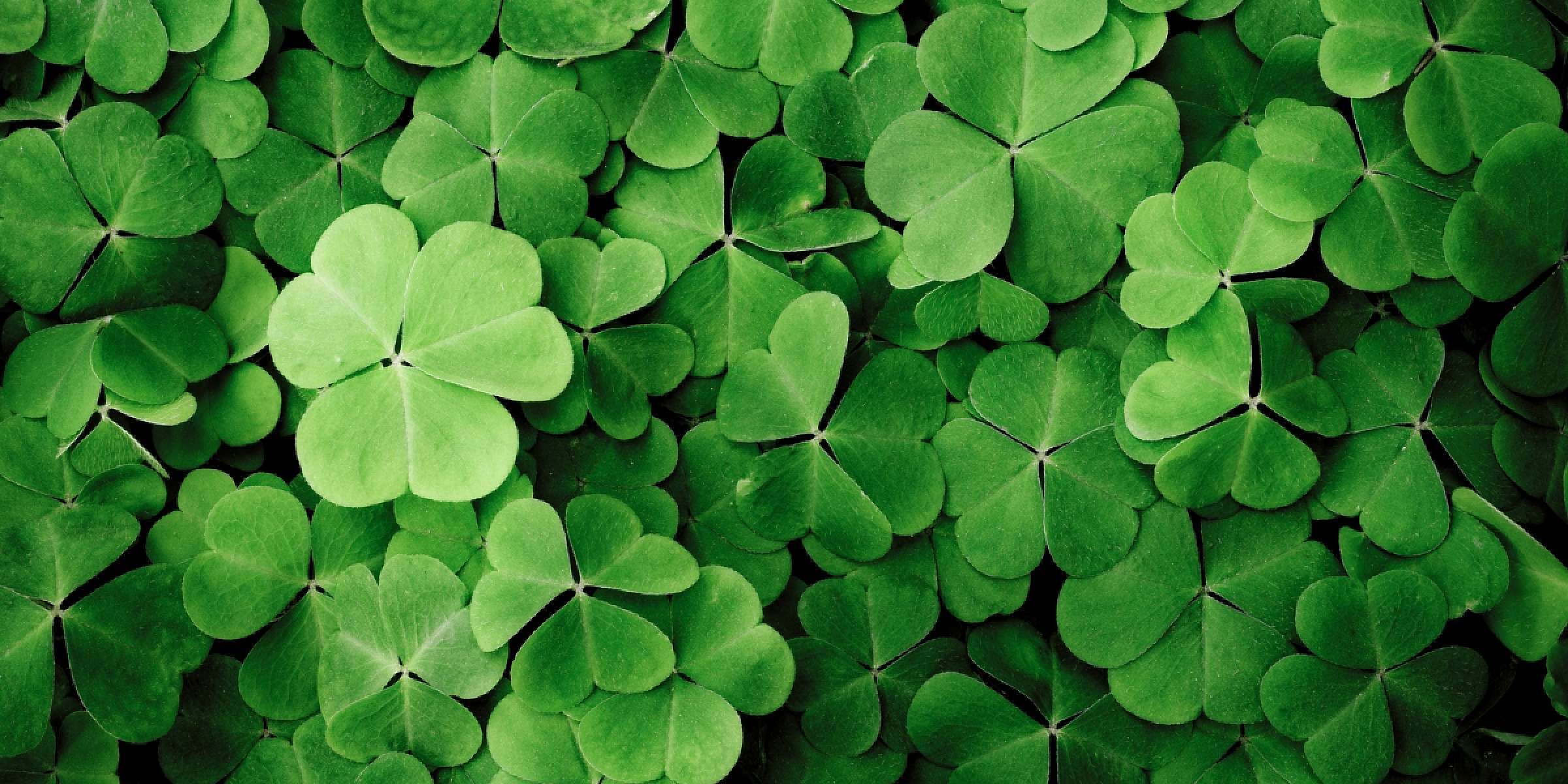  - Grand Casino Brussels VIAGE