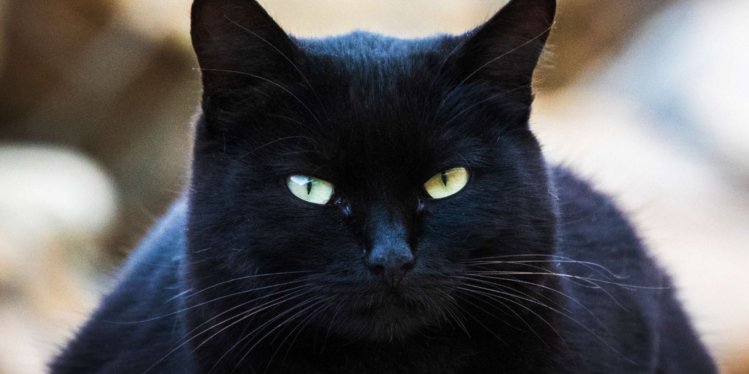  - Grand Casino Brussels VIAGE